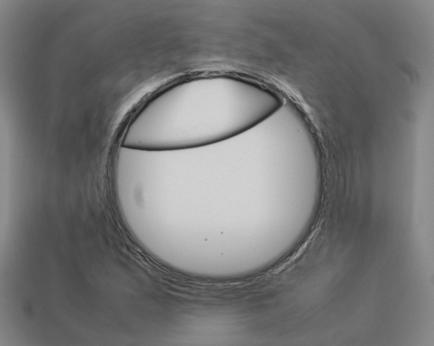 X0000114091167200910051203