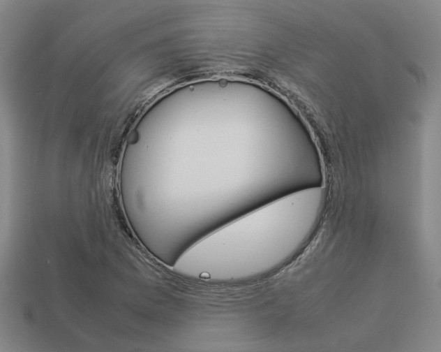 X0000114091169200910051203