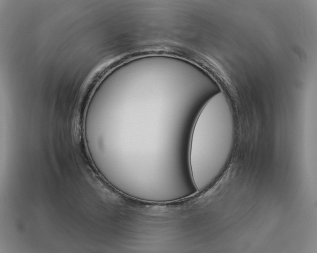 X0000114091172200910051203