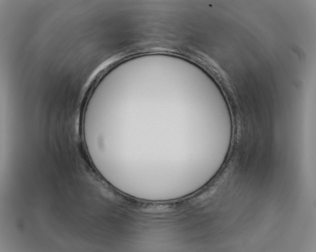 X0000114091174200910051203