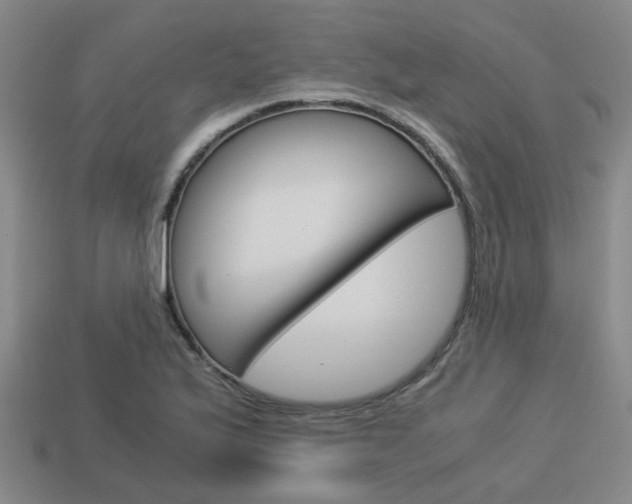 X0000114091175200910051203