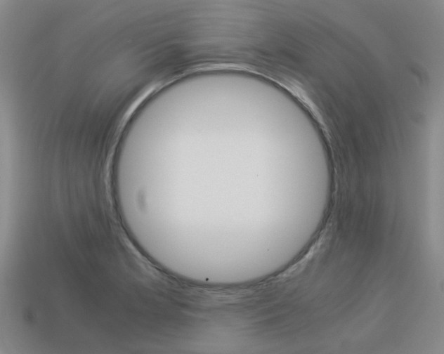 X0000114091181200910051203
