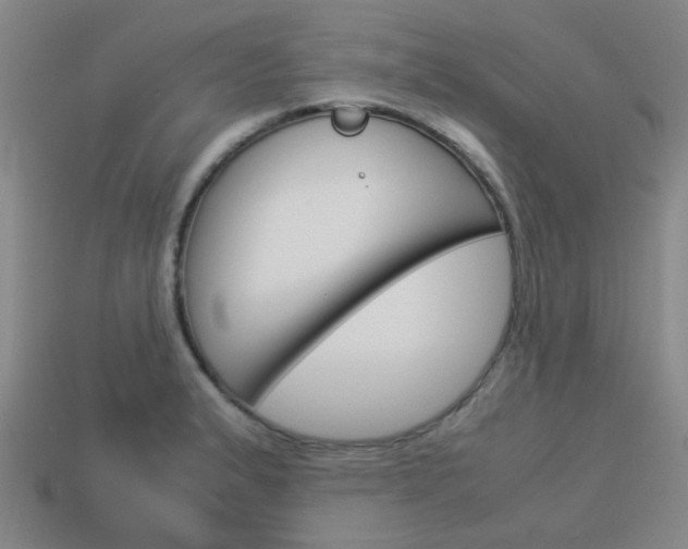X0000114091183200910051203