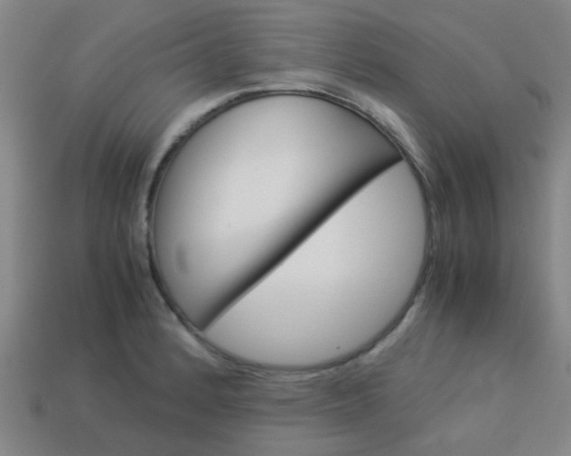 X0000114091184200910051203