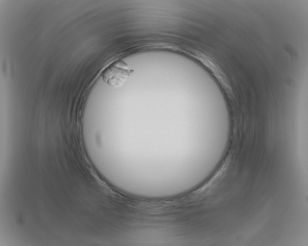X0000114091185200910051203