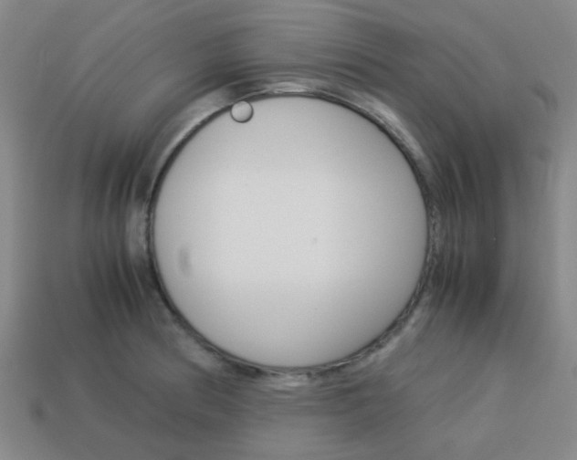 X0000114091186200910051203