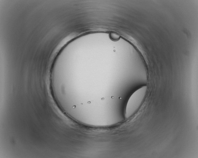 X0000114091187200910051203