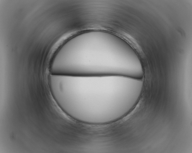 X0000114091188200910051203