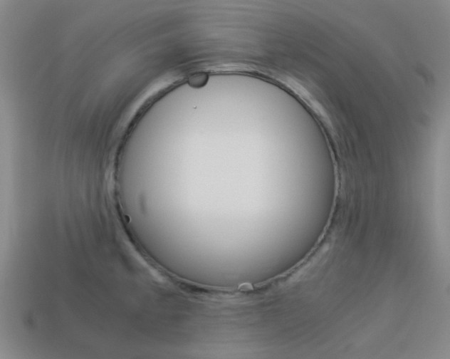 X0000114091189200910051203