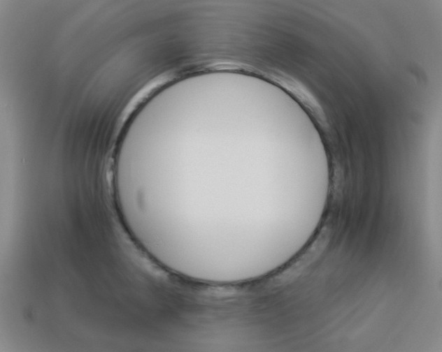 X0000114091190200910051203