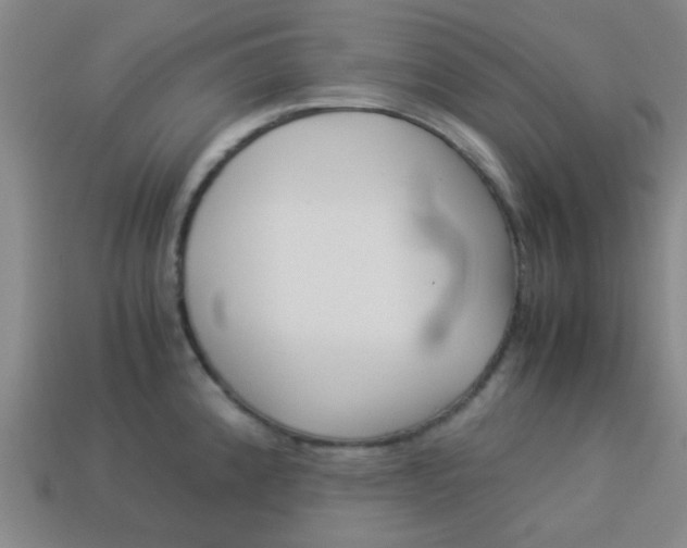 X0000114091192200910051203