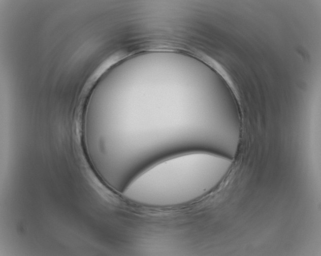 X0000114091195200910051203