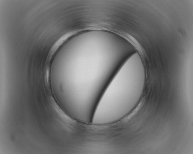 X0000114091196200910051203