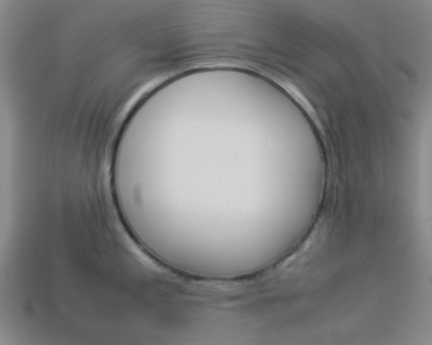 X0000114091197200910051203