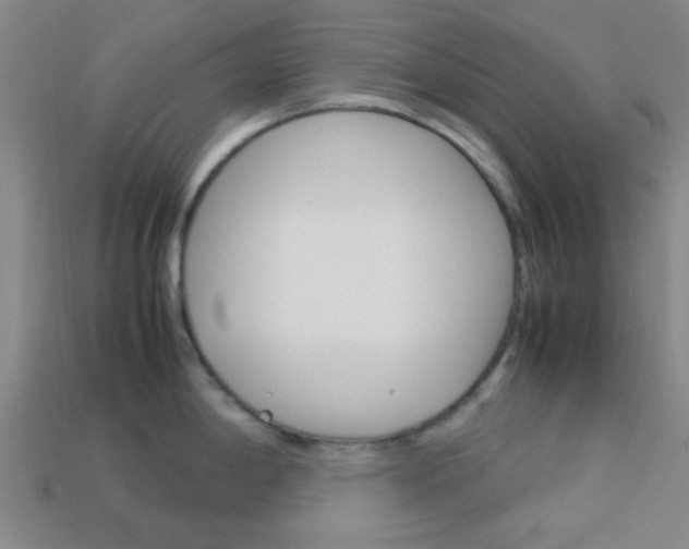 X0000114091198200910051203