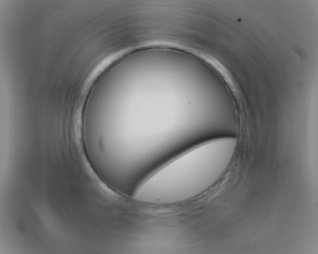 X0000114091199200910051203
