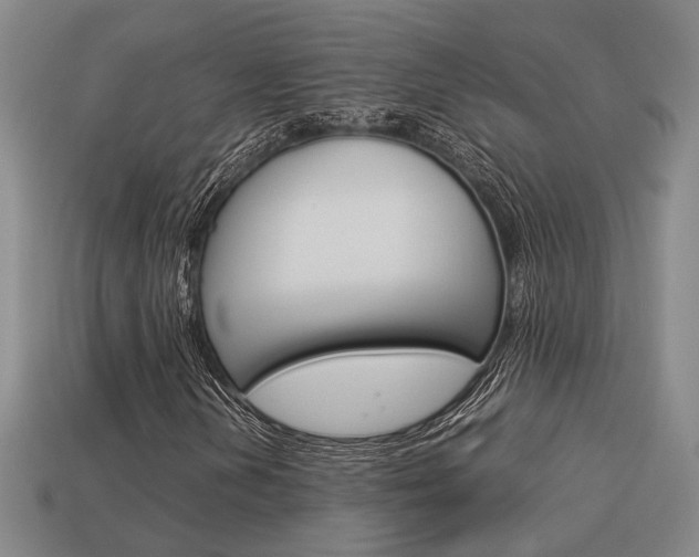 X0000114091202200910051202