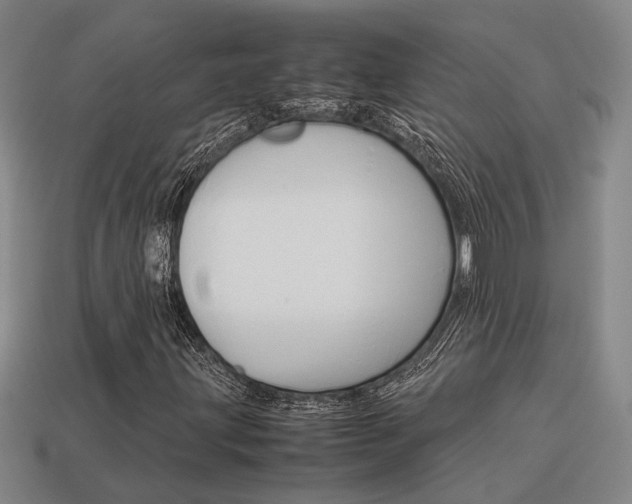 X0000114091203200910051202