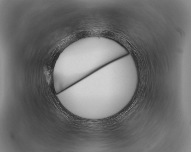 X0000114091204200910051202