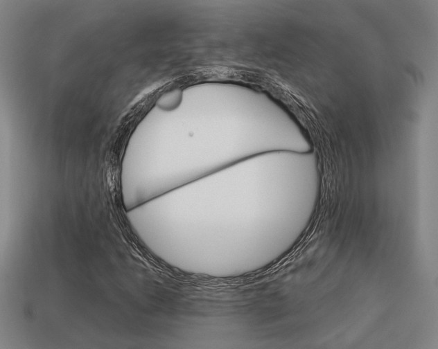 X0000114091206200910051202