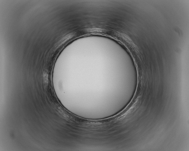 X0000114091209200910051202