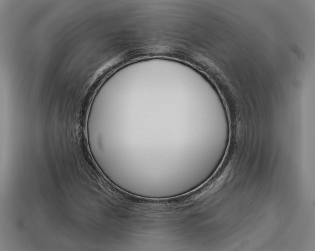 X0000114091210200910051202