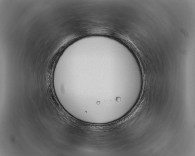 X0000114091211200910051202