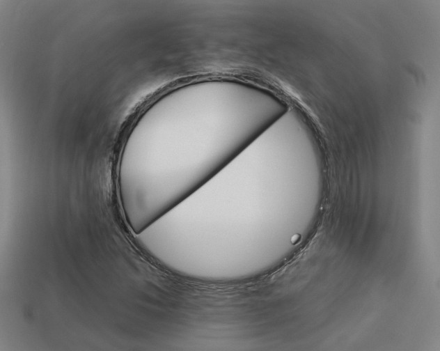 X0000114091214200910051202