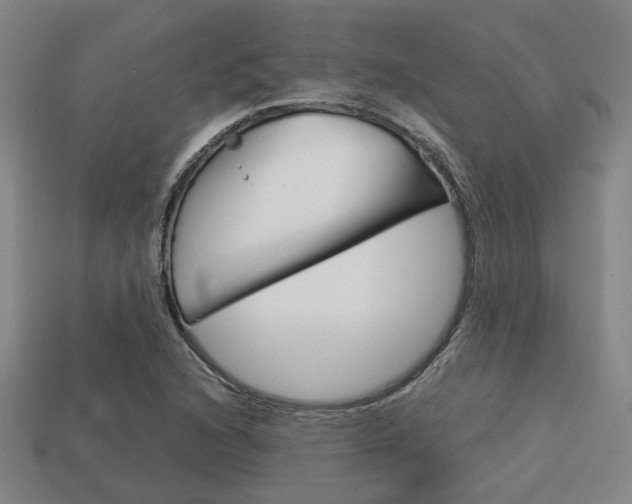 X0000114091216200910051203