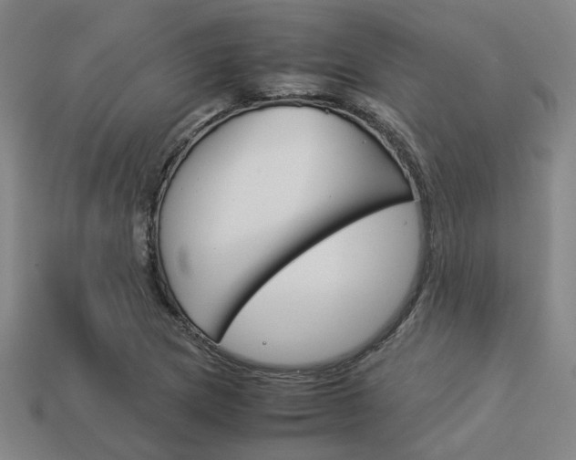 X0000114091217200910051203