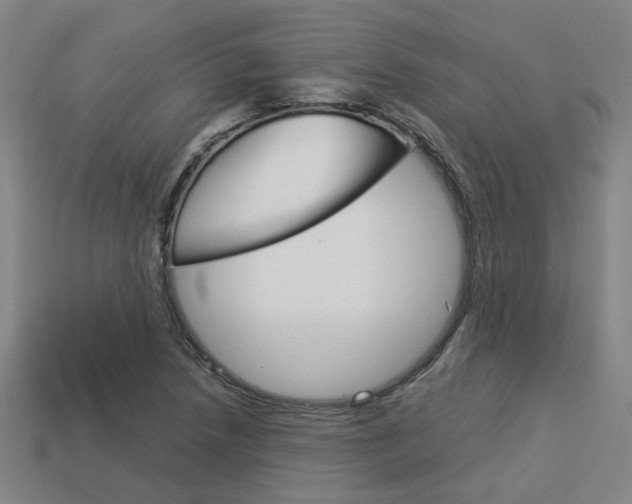 X0000114091218200910051203