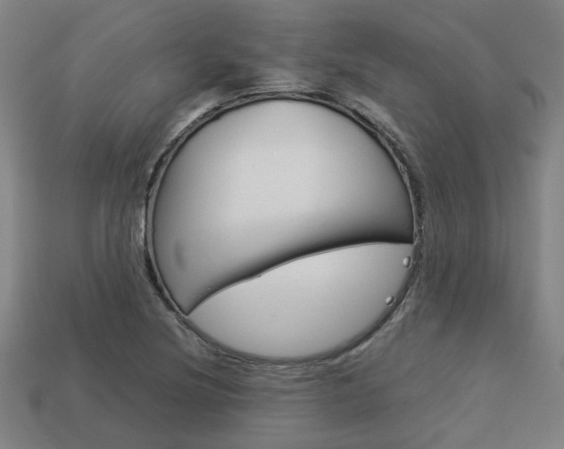 X0000114091220200910051203