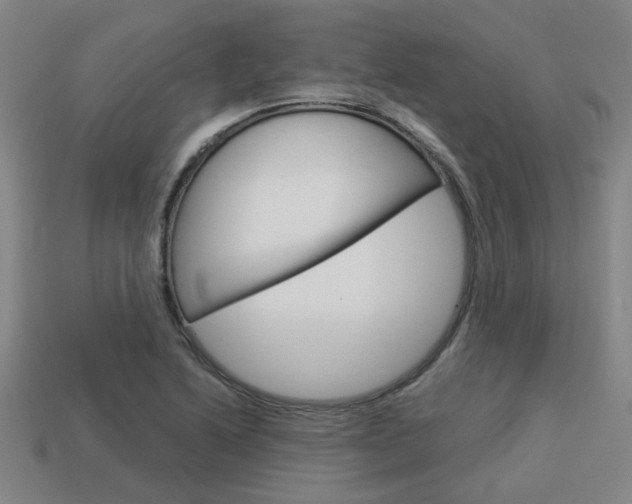 X0000114091222200910051203