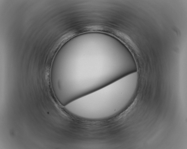 X0000114091225200910051203