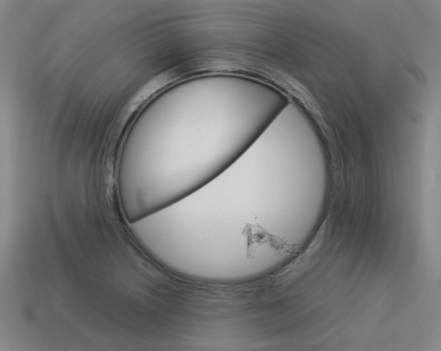 X0000114091226200910051203
