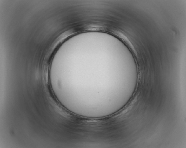 X0000114091227200910051203