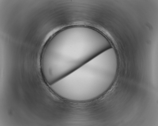 X0000114091230200910051203