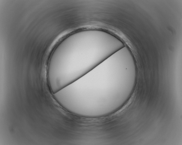 X0000114091232200910051203