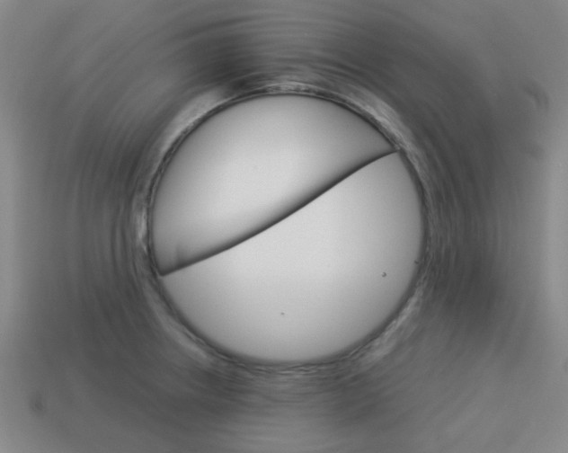 X0000114091234200910051203