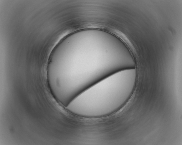 X0000114091236200910051203