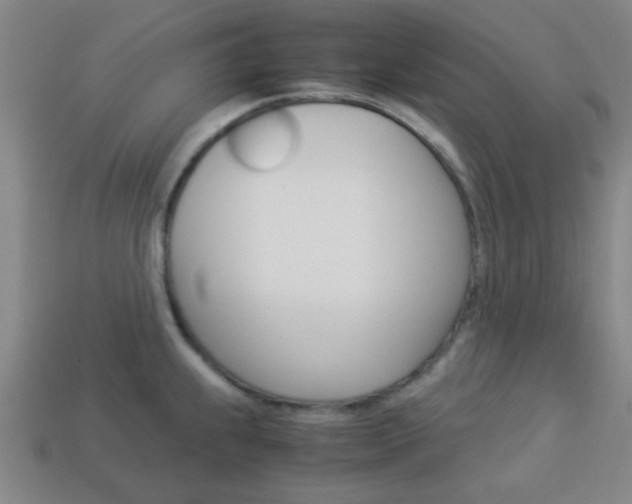 X0000114091239200910051203