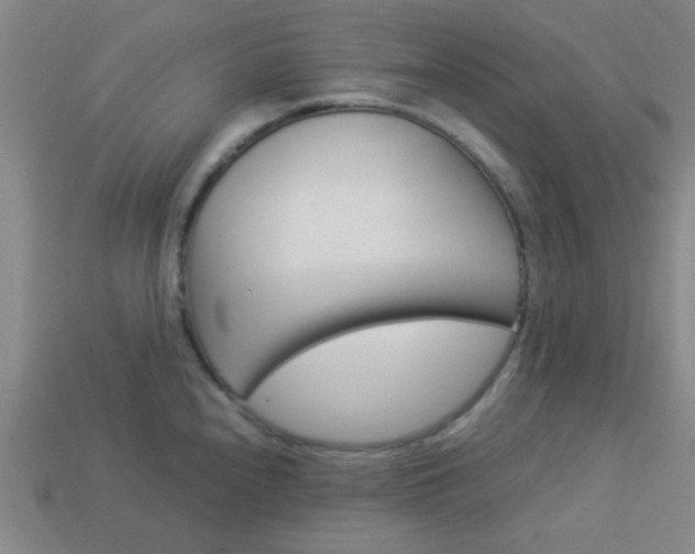 X0000114091240200910051203