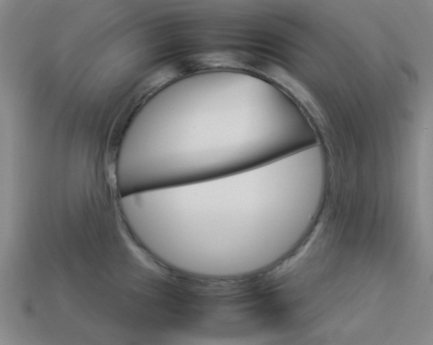 X0000114091241200910051203