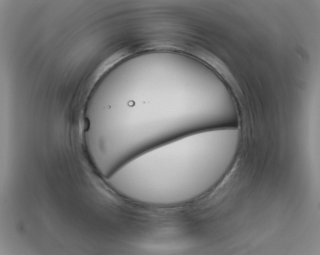 X0000114091242200910051203
