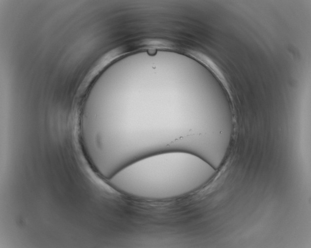 X0000114091243200910051203