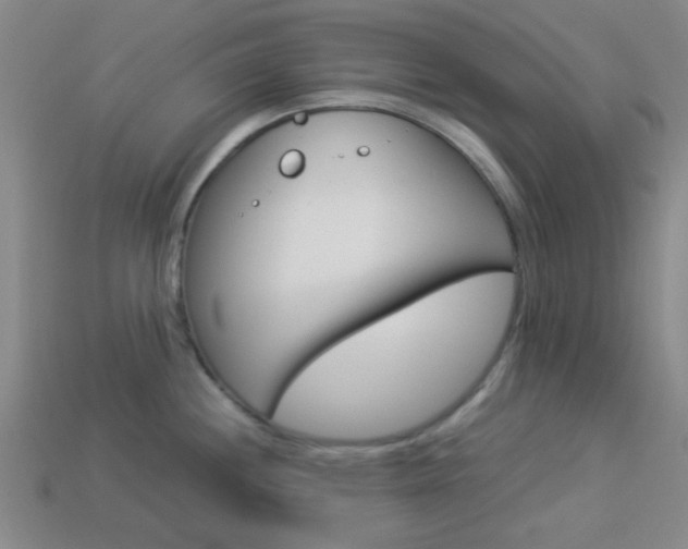 X0000114091244200910051203