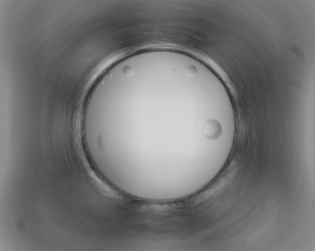 X0000114091245200910051203
