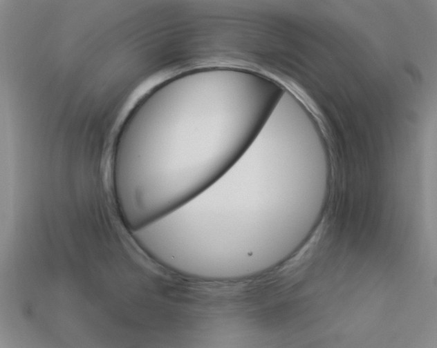 X0000114091246200910051203