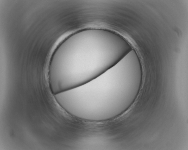 X0000114091248200910051203