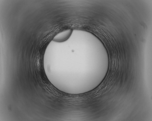 X0000114091250200910051202
